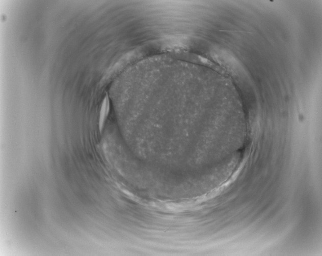 X0000087680041200705251655