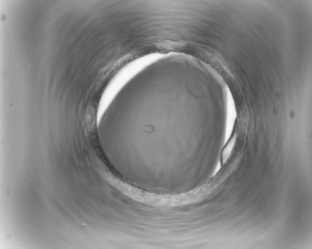 X0000087680043200705251655