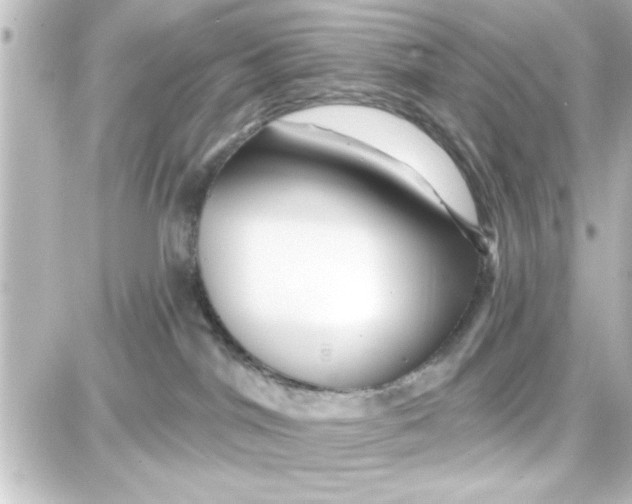 X0000087680044200705251655