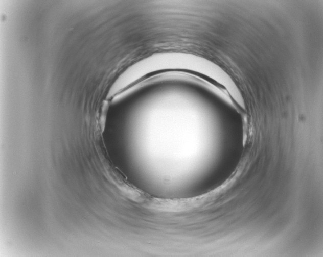 X0000087680045200705251654