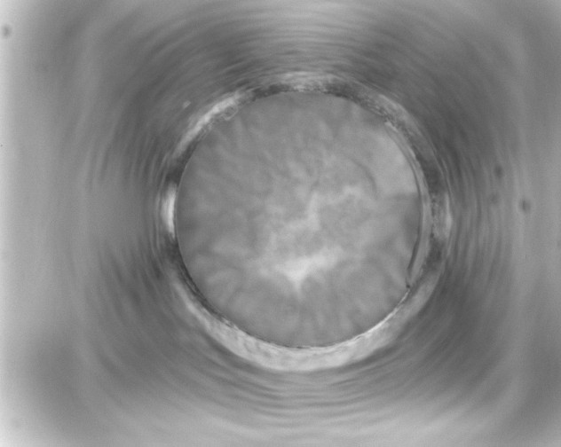 X0000087680047200705251654