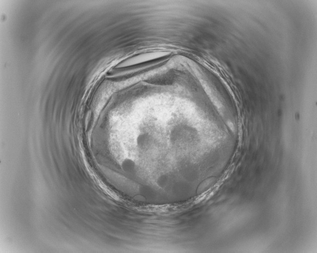 X0000087680049200705251654