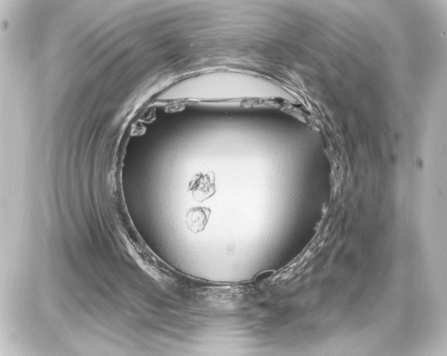 X0000087680050200705251654