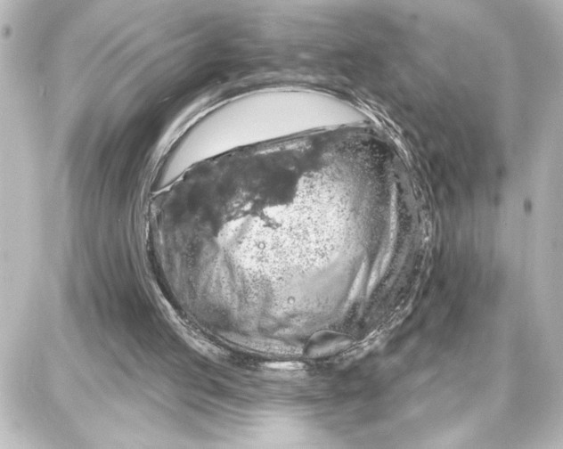 X0000087680053200705251654