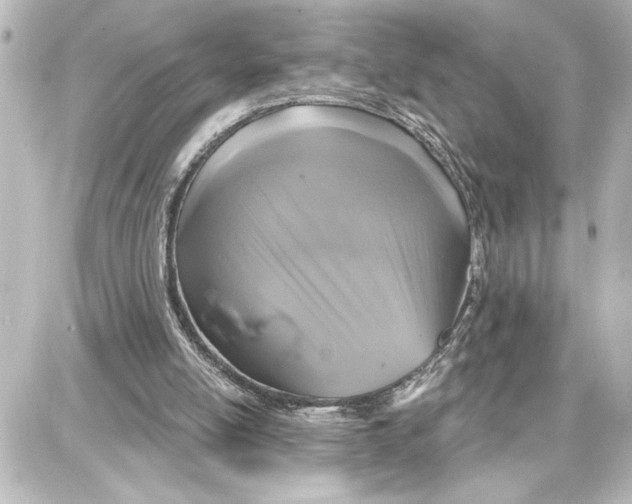 X0000087680054200705251654