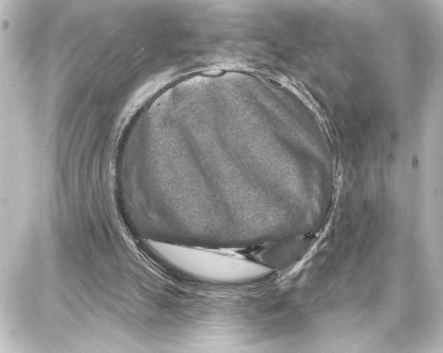 X0000087680055200705251654