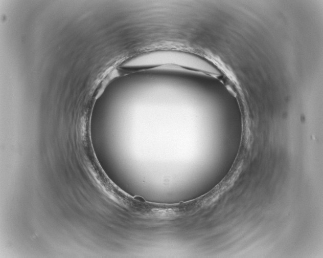 X0000087680057200705251654