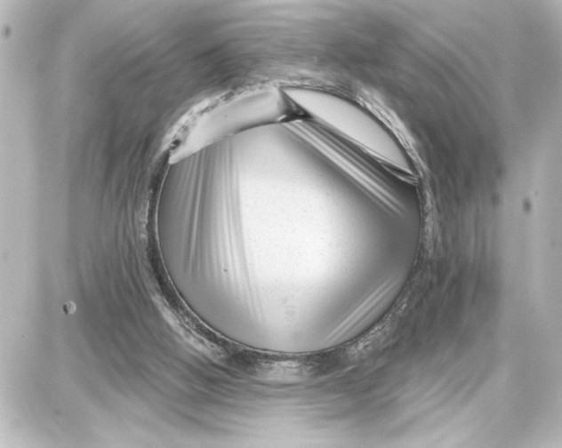 X0000087680058200705251654