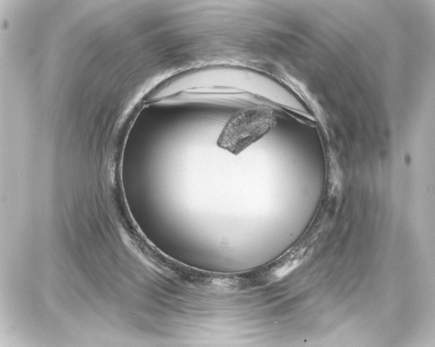 X0000087680060200705251654