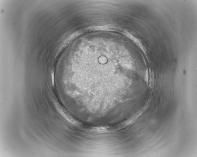 X0000087680061200705251654