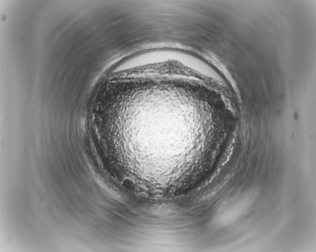 X0000087680063200705251654