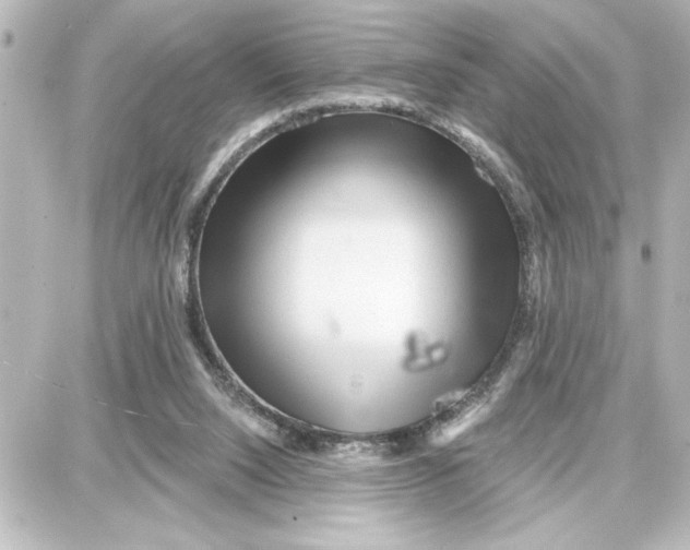 X0000087680064200705251654