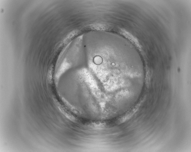 X0000087680065200705251654