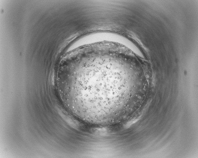 X0000087680068200705251654