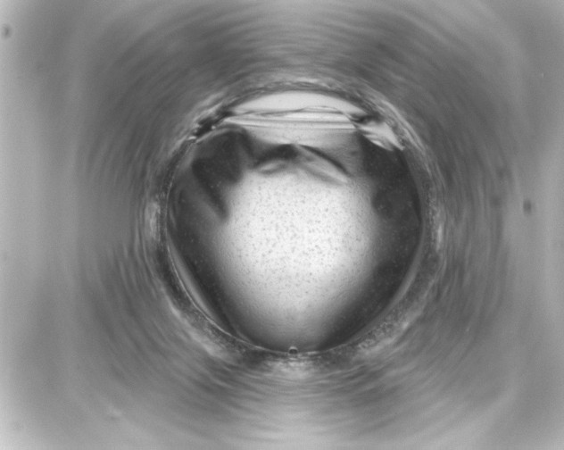 X0000087680071200705251654