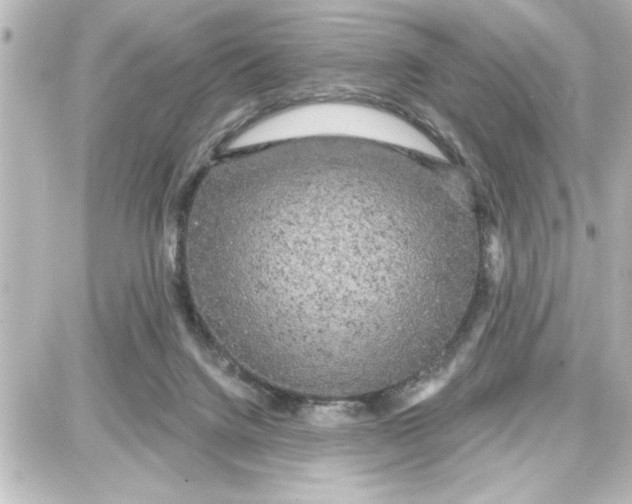 X0000087680072200705251654