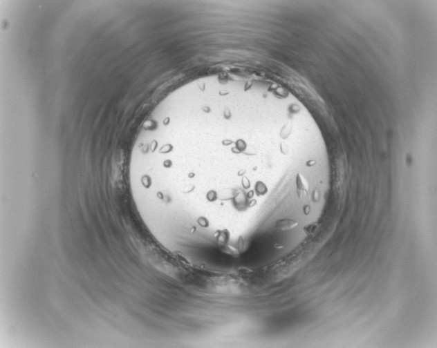 X0000087680073200705251654