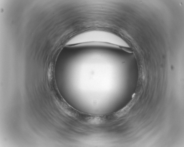 X0000087680074200705251654