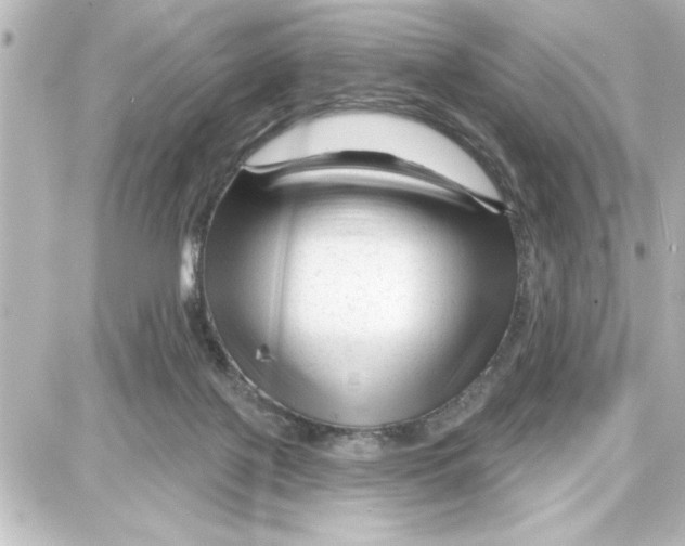 X0000087680075200705251654