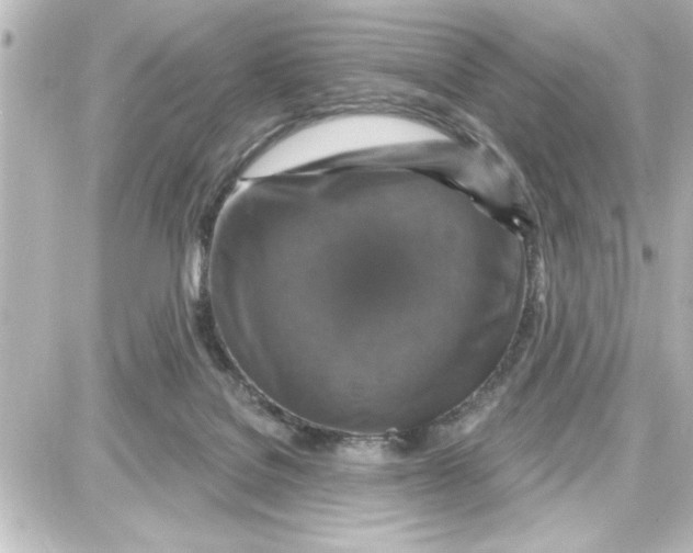 X0000087680076200705251654