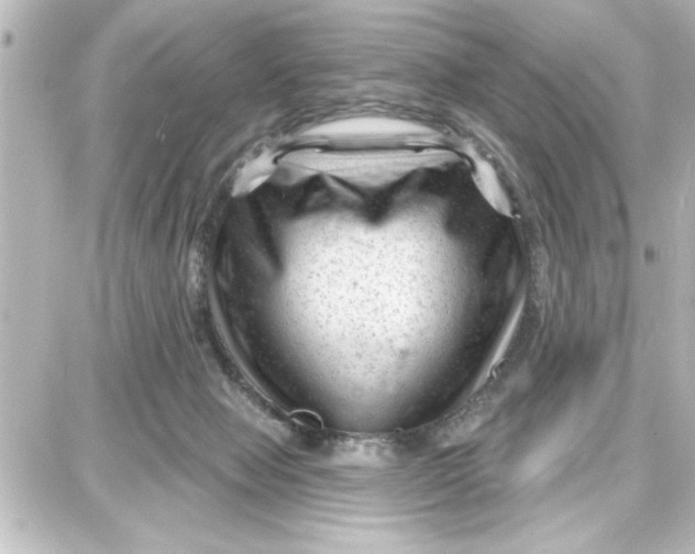 X0000087680077200705251654