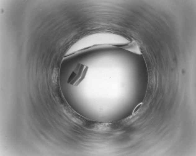 X0000087680078200705251654