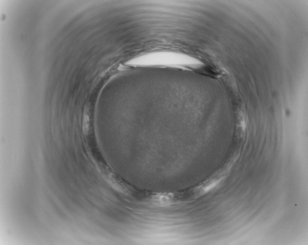 X0000087680080200705251654