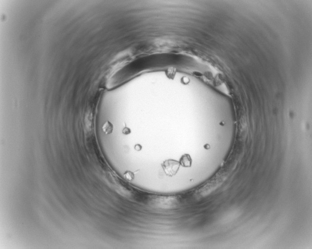 X0000087680081200705251654