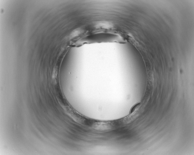 X0000087680082200705251654