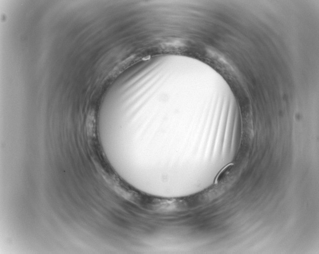 X0000087680083200705251654