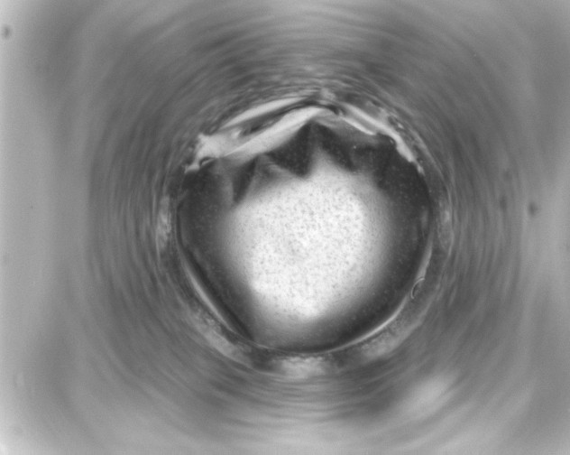 X0000087680085200705251654