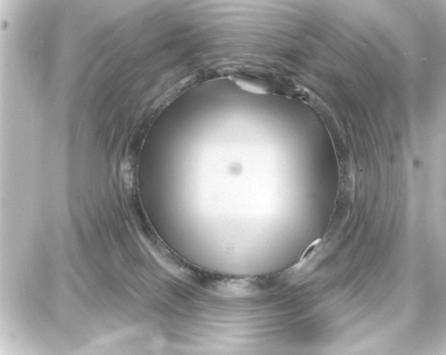 X0000087680086200705251654