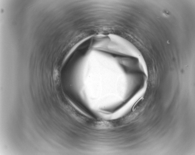 X0000087680087200705251654