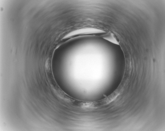 X0000087680088200705251654