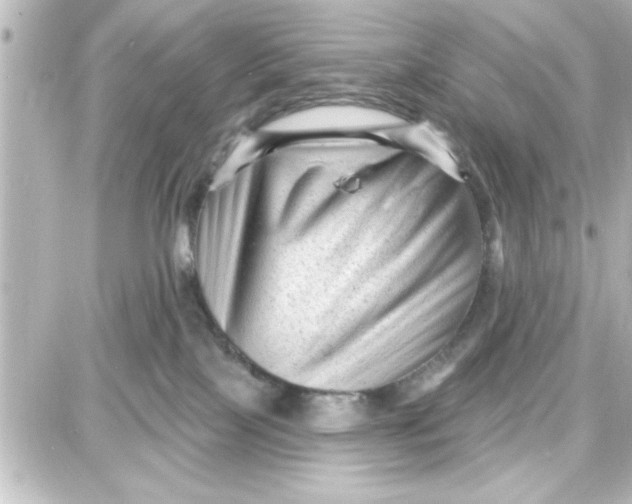 X0000087680089200705251654