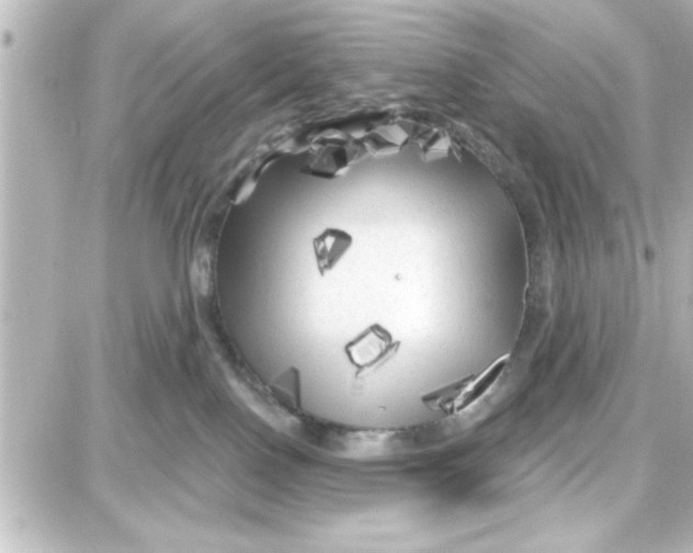 X0000087680090200705251654