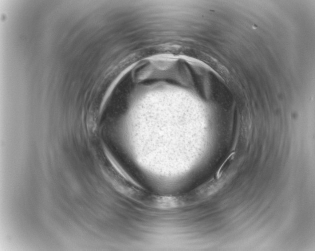 X0000087680091200705251654