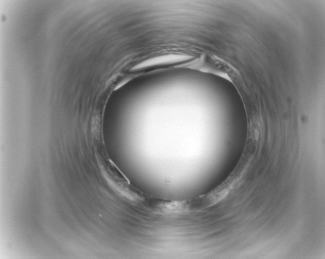 X0000087680092200705251654