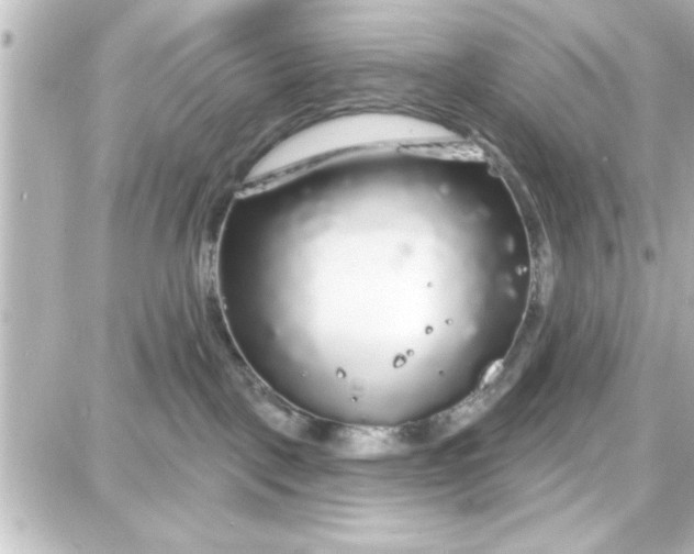 X0000087680093200705251654