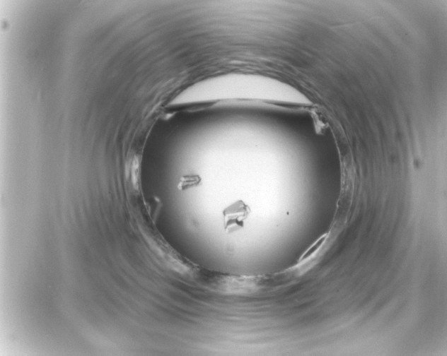 X0000087680094200705251654