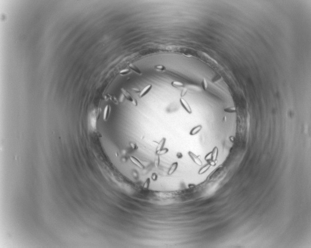 X0000087680095200705251654