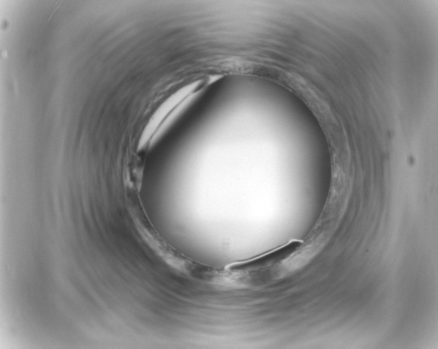 X0000087680096200705251654