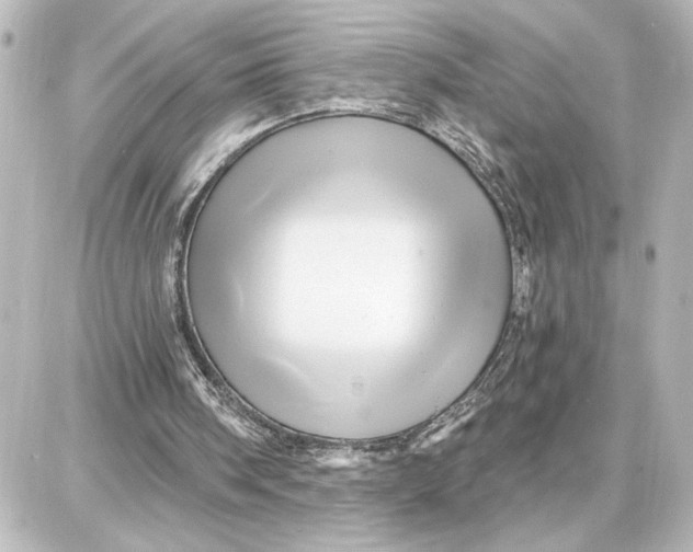 X0000087680098200705251654