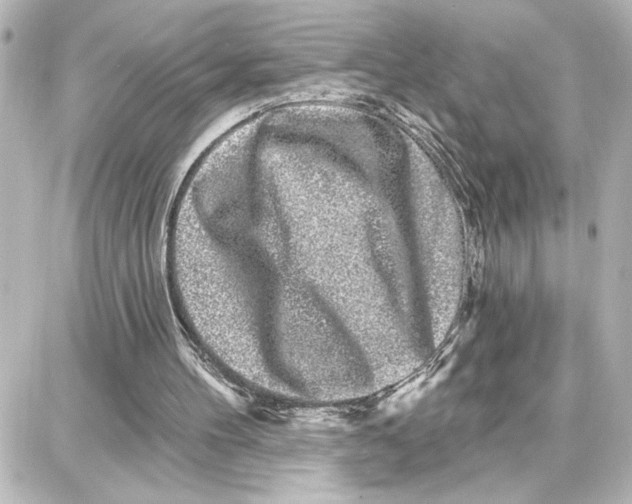 X0000087680100200705251654