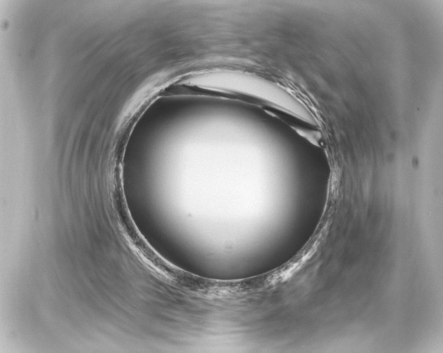 X0000087680101200705251654