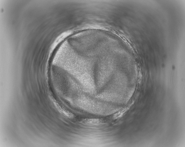 X0000087680104200705251654