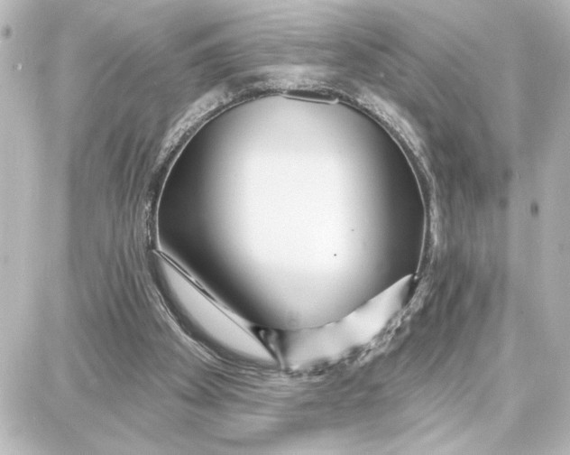 X0000087680105200705251654