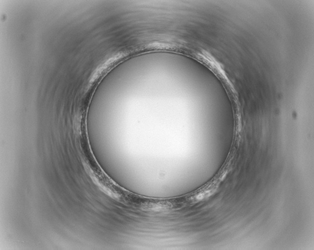 X0000087680106200705251654