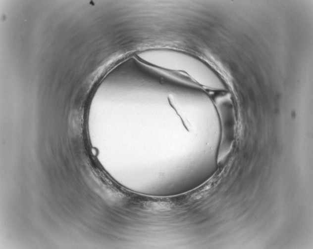 X0000087680107200705251653