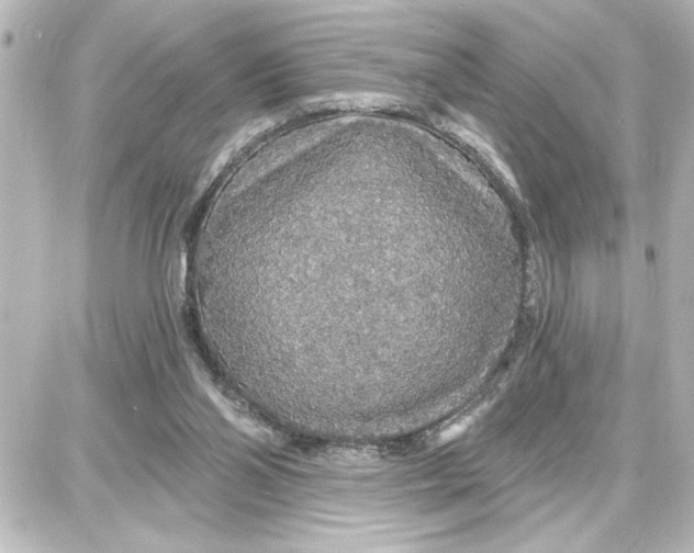 X0000087680110200705251653